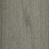 Trex Lineage Island Mist color swatch